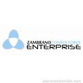 ZAMBRANO CONSULTORES ENTERPRISE ZAMBRANO CONSULTORES ENTERPRISE