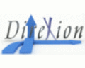 Direxion Ltda. Direxion Ltda.