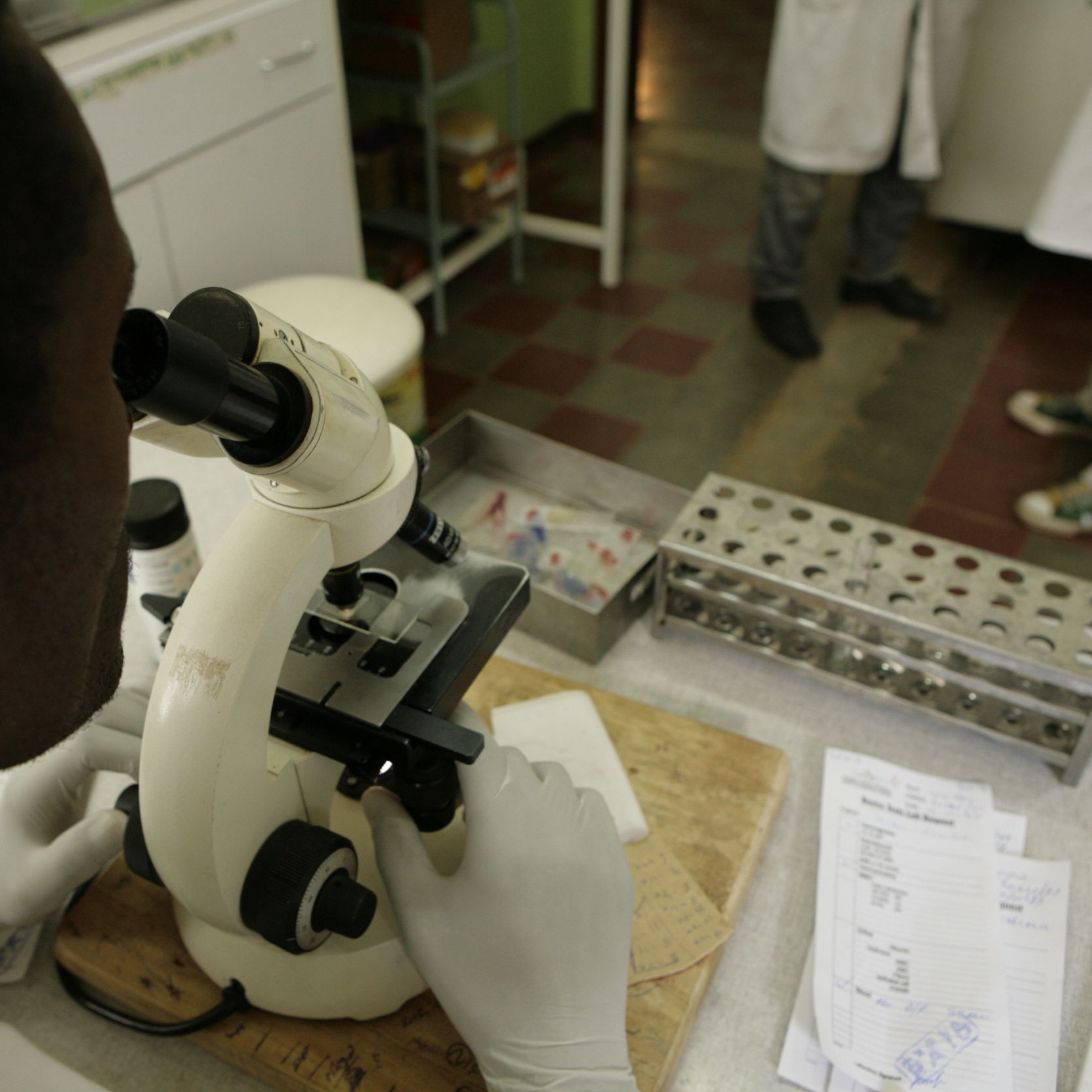 MIRANDO A TRAVES DEL MICROSCOPIO