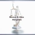 ABOGADA LITIGANTE ABOGADA LITIGANTE